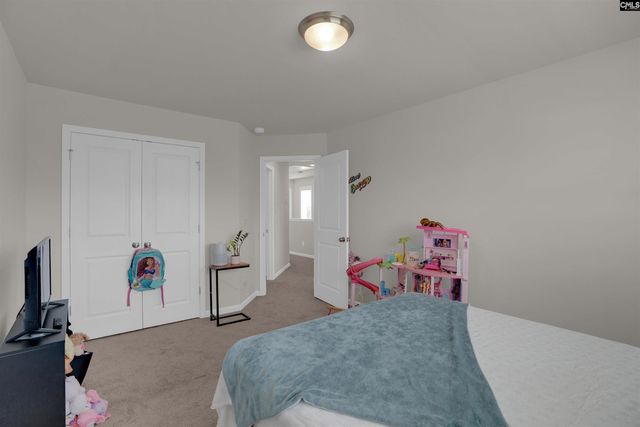817 Plunge Pool Lane, Blythewood, SC 29016
