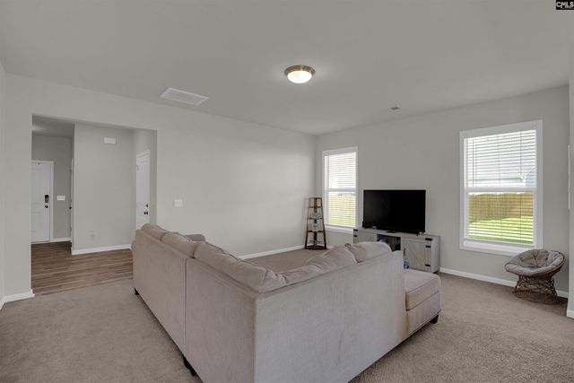 817 Plunge Pool Lane, Blythewood, SC 29016