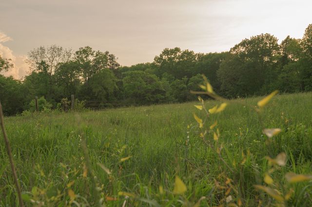 775 Railroad Rd, Wartrace, TN 37183