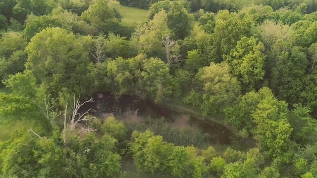 775 Railroad Rd, Wartrace, TN 37183