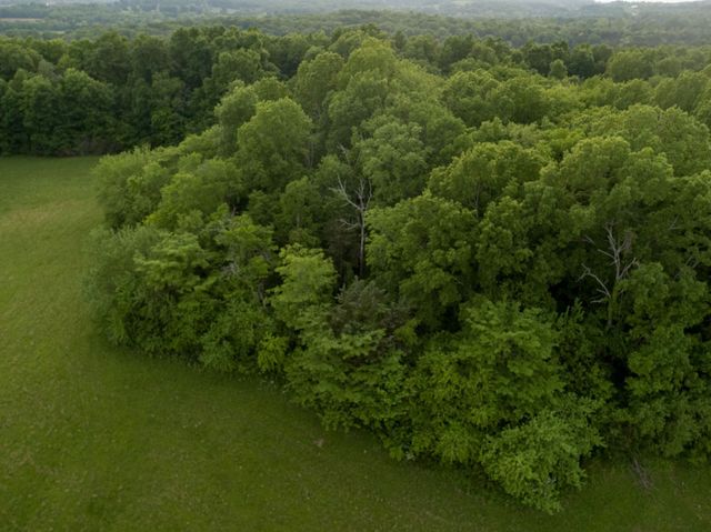 775 Railroad Rd, Wartrace, TN 37183