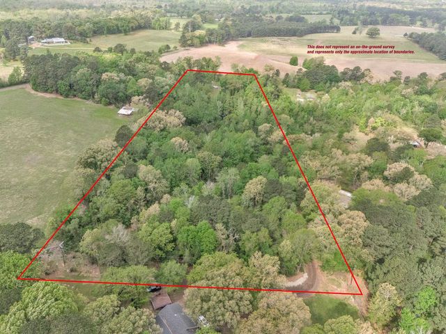 2083 Sandpiper Rd, Diana, TX 75640
