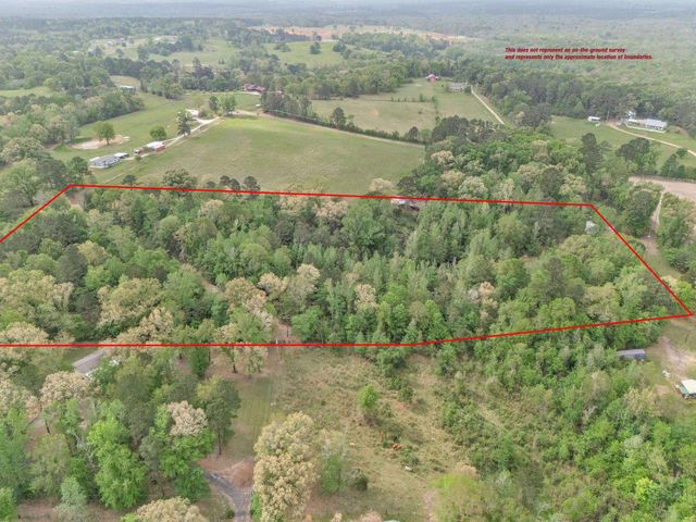 2083 Sandpiper Rd, Diana, TX 75640