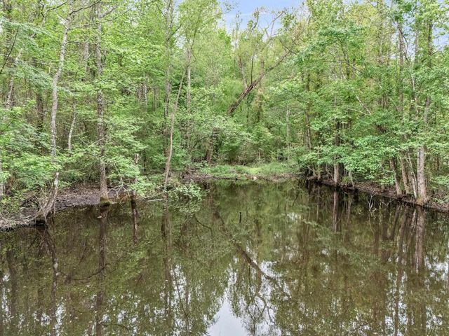 2083 Sandpiper Rd, Diana, TX 75640