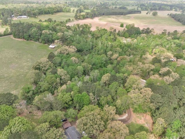 2083 Sandpiper Rd, Diana, TX 75640