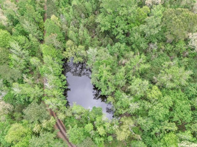 2083 Sandpiper Rd, Diana, TX 75640