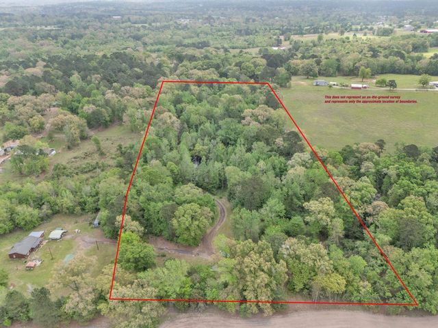 2083 Sandpiper Rd, Diana, TX 75640
