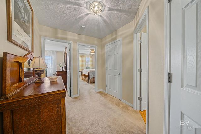 313 Collinwood Loop, Foley, AL 36535