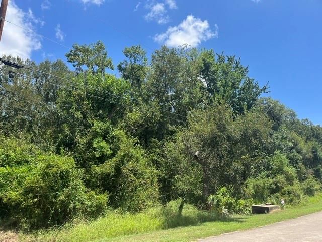 1131 Bronco Trail, Angleton, TX 77515