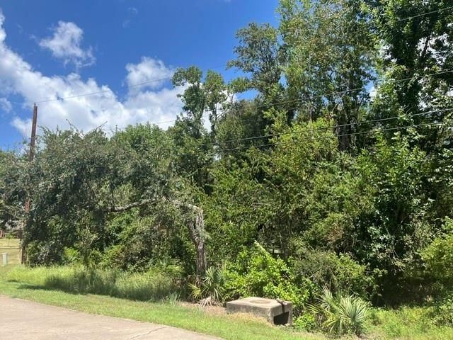 1131 Bronco Trail, Angleton, TX 77515