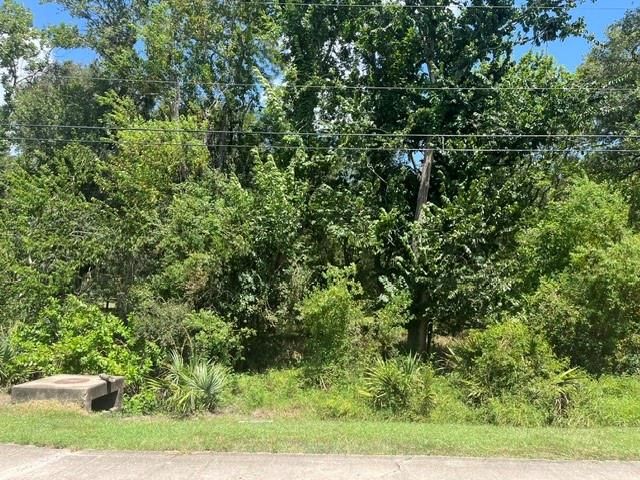 1131 Bronco Trail, Angleton, TX 77515