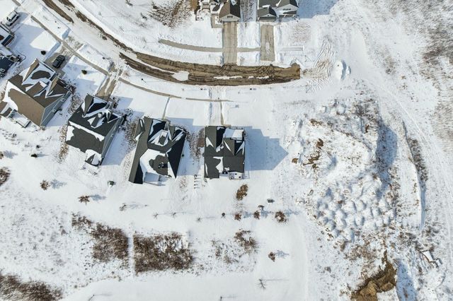 233 Campolina Street, Chelsea, MI 48118