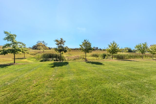 233 Campolina Street, Chelsea, MI 48118