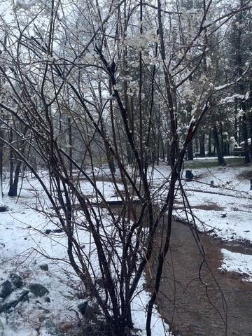 12528 Rattlesnake Rd, Grass Valley, CA 95945