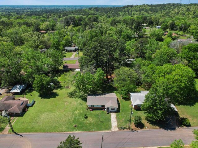 207 KATHERINE DR, Daingerfield, TX 75638