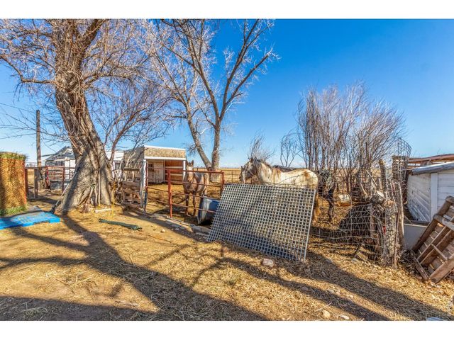 16524 County Road 3, Wiggins, CO 80654