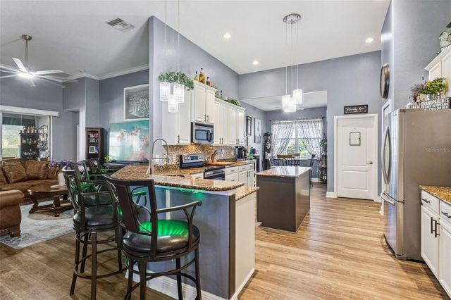 4802 ROYCE DRIVE, Mount Dora, FL 32757