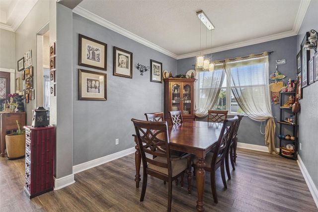 4802 ROYCE DRIVE, Mount Dora, FL 32757