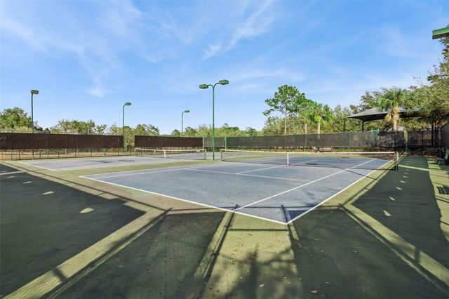 4802 ROYCE DRIVE, Mount Dora, FL 32757
