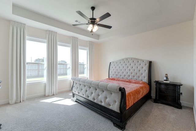 102 Shining Succulent Drive, Richmond, TX 77406