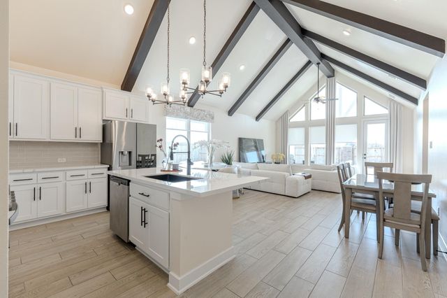 102 Shining Succulent Drive, Richmond, TX 77406