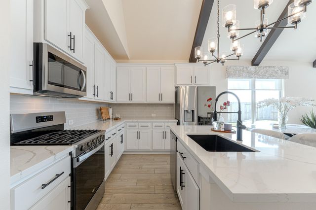 102 Shining Succulent Drive, Richmond, TX 77406