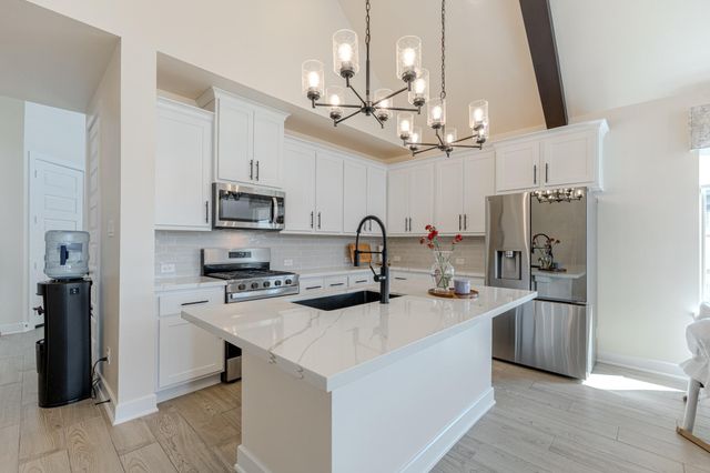 102 Shining Succulent Drive, Richmond, TX 77406