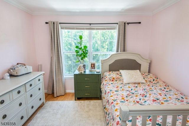 17 Conover Ter, Lebanon Boro, NJ 08833