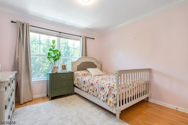 17 Conover Ter, Lebanon Boro, NJ 08833