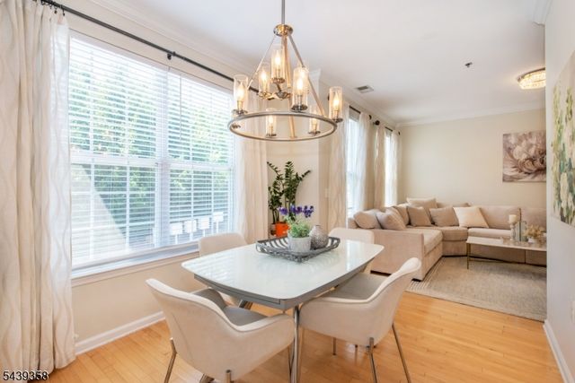 17 Conover Ter, Lebanon Boro, NJ 08833