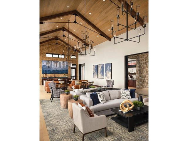 684 Leafy Aster Ln, Castle Rock, CO 80104