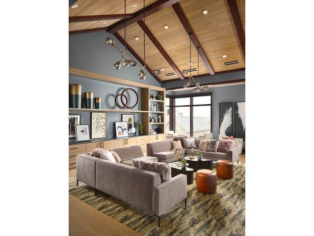 684 Leafy Aster Ln, Castle Rock, CO 80104