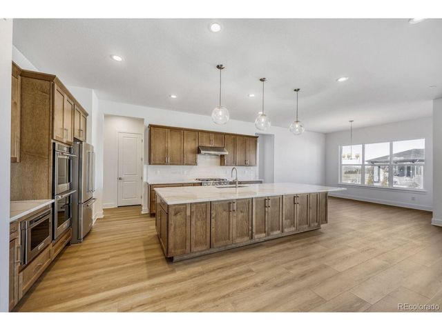 684 Leafy Aster Ln, Castle Rock, CO 80104