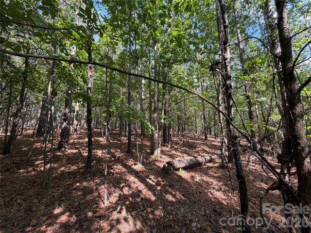 9212 Rustic Creek Trail, Waxhaw, NC 28173