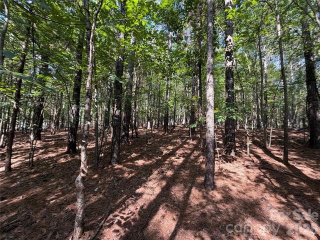 9212 Rustic Creek Trail, Waxhaw, NC 28173