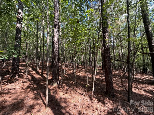 9212 Rustic Creek Trail, Waxhaw, NC 28173
