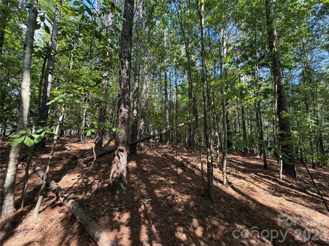 9212 Rustic Creek Trail, Waxhaw, NC 28173