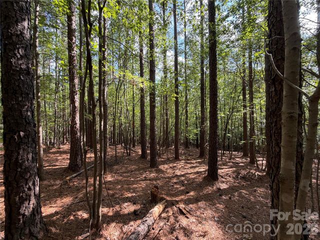 9212 Rustic Creek Trail, Waxhaw, NC 28173