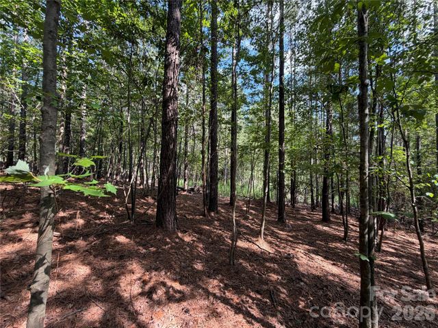 9212 Rustic Creek Trail, Waxhaw, NC 28173