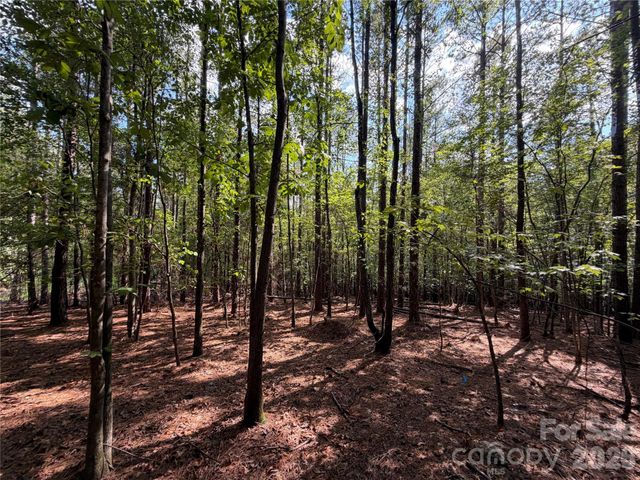 9212 Rustic Creek Trail, Waxhaw, NC 28173