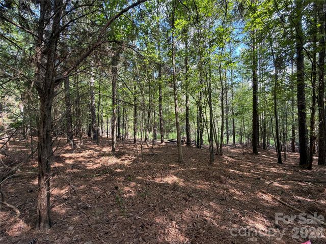 9212 Rustic Creek Trail, Waxhaw, NC 28173