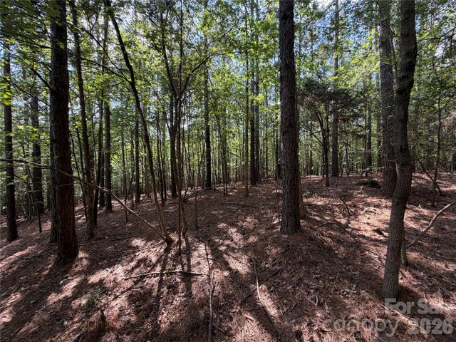 9212 Rustic Creek Trail, Waxhaw, NC 28173