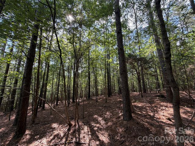 9212 Rustic Creek Trail, Waxhaw, NC 28173
