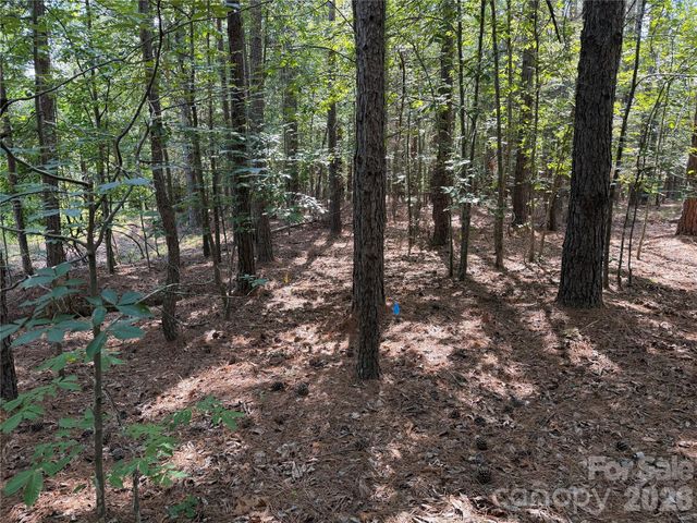 9212 Rustic Creek Trail, Waxhaw, NC 28173