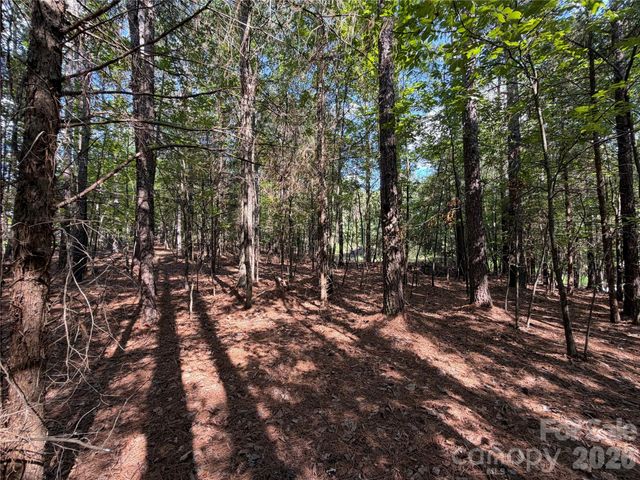 9212 Rustic Creek Trail, Waxhaw, NC 28173