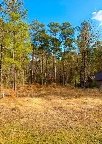 111 North Forest Drive, Huntsville, TX 77340