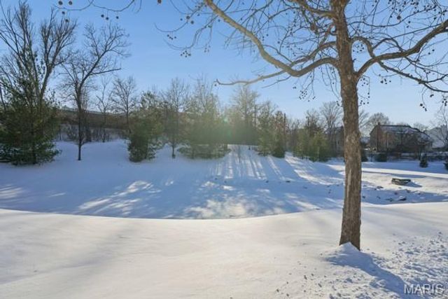 16164 Amber Vista Drive, Ballwin, MO 63021