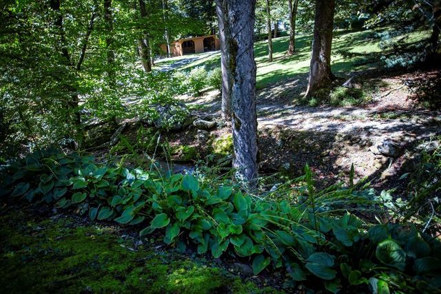 1620 E Buffalo Road, Robbinsville, NC 28771