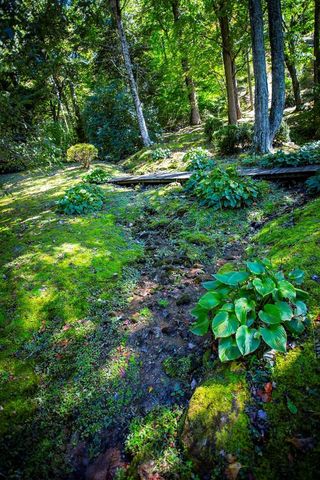 1620 E Buffalo Road, Robbinsville, NC 28771