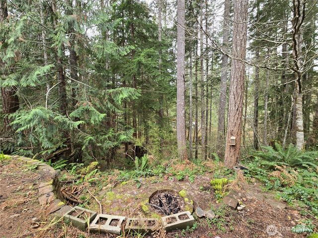 91 N Gadwall Place N, Hoodsport, WA 98548